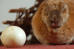 3429887423_9834976d02_o