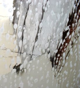 "Washing" Some rights reserved (CC BY 2.0) by Marcus Vinicius. Sourced from Flickr