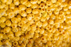 "In the middle of an identity crisis". Some rights reserved (CC BY-NC-ND 2.0) by Bubba's Bag of Photos (Marco Carrubba). Sourced from Flickr