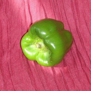 Green Pepper. Some rights reserved (CC BY-NC-SA 2.0) by LMP+