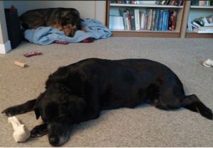 Home. Some rights reserved (CC BY-SA-NC) by LMP+