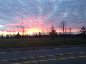 Sunrise in London pyson hunting