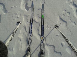 skiing